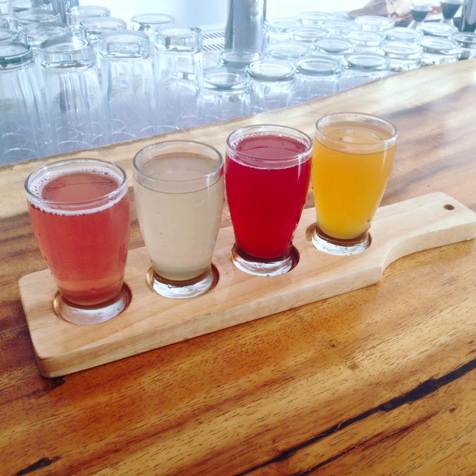 Mamachari Kombucha flight