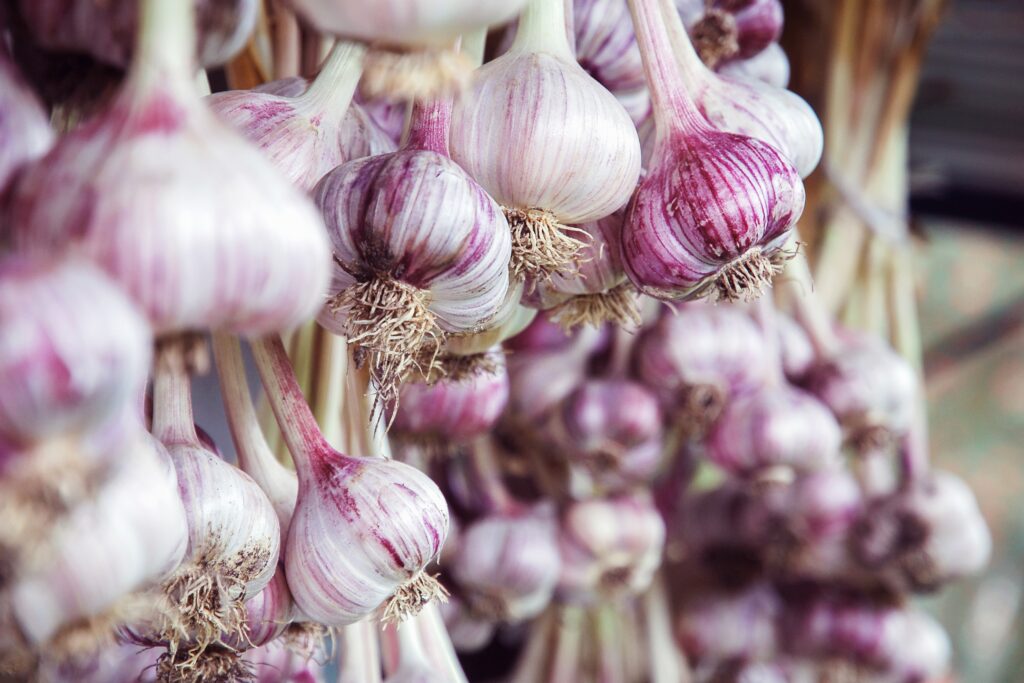 Photo of hanging garlic