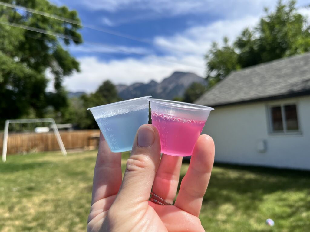 Gelatin snack in medicine cups