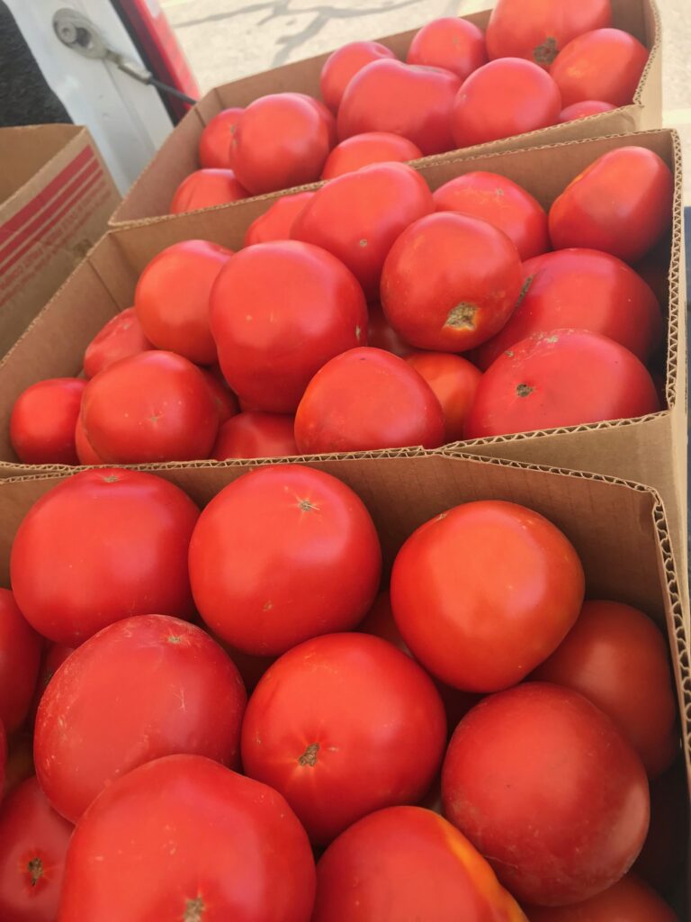 Two boxes of fresh tomatoes displayed on a wooden table