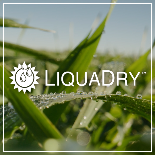 Text reads: LiquaDry