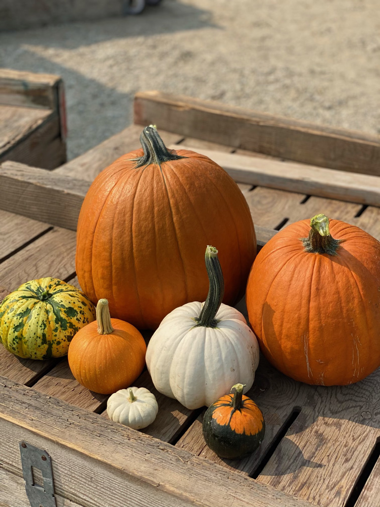 A group of pumpkins displayed on a rustic wooden crate