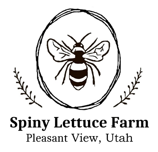 Spiny Lettuce Farm – Logo – Julie Kidd
