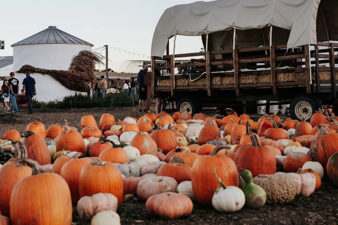 Featured image for “Utah Pumpkins and Fall Festivals”