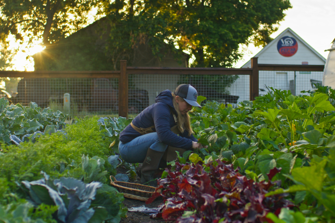 a woman kneeling down in a garden picking produce