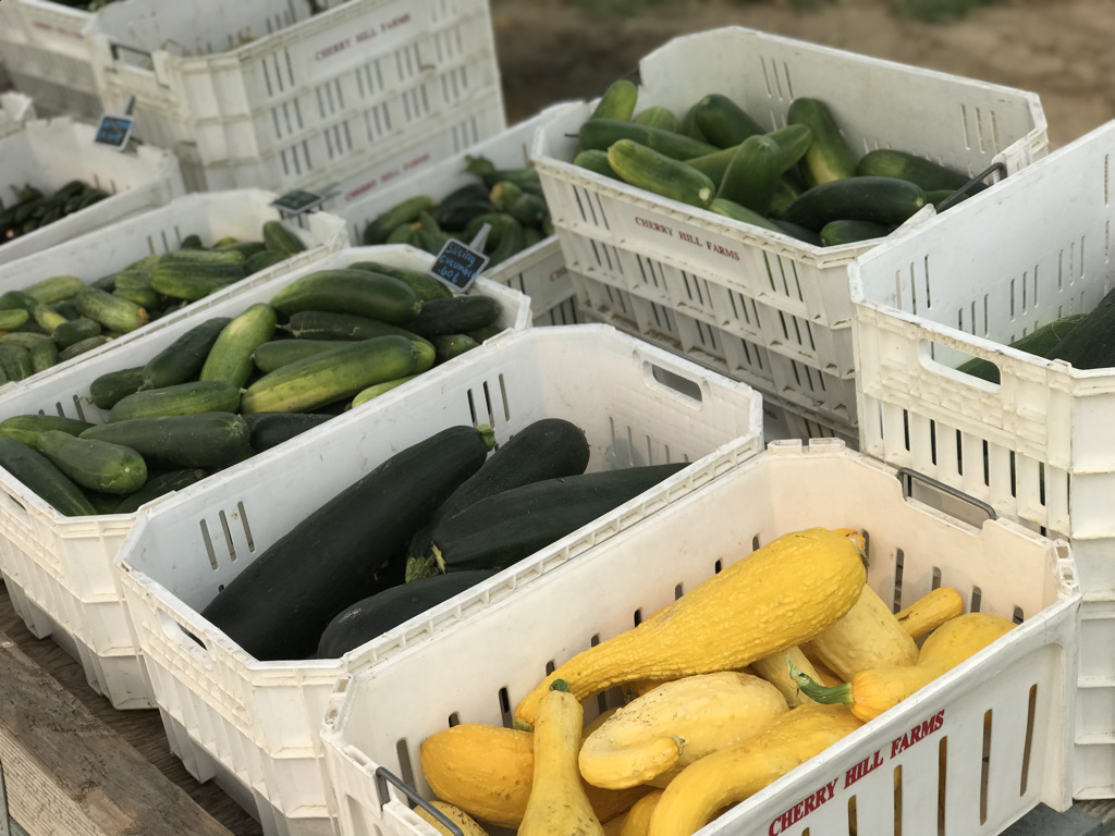 several crates filled with cucumbers and squash for sale at the farmer's market