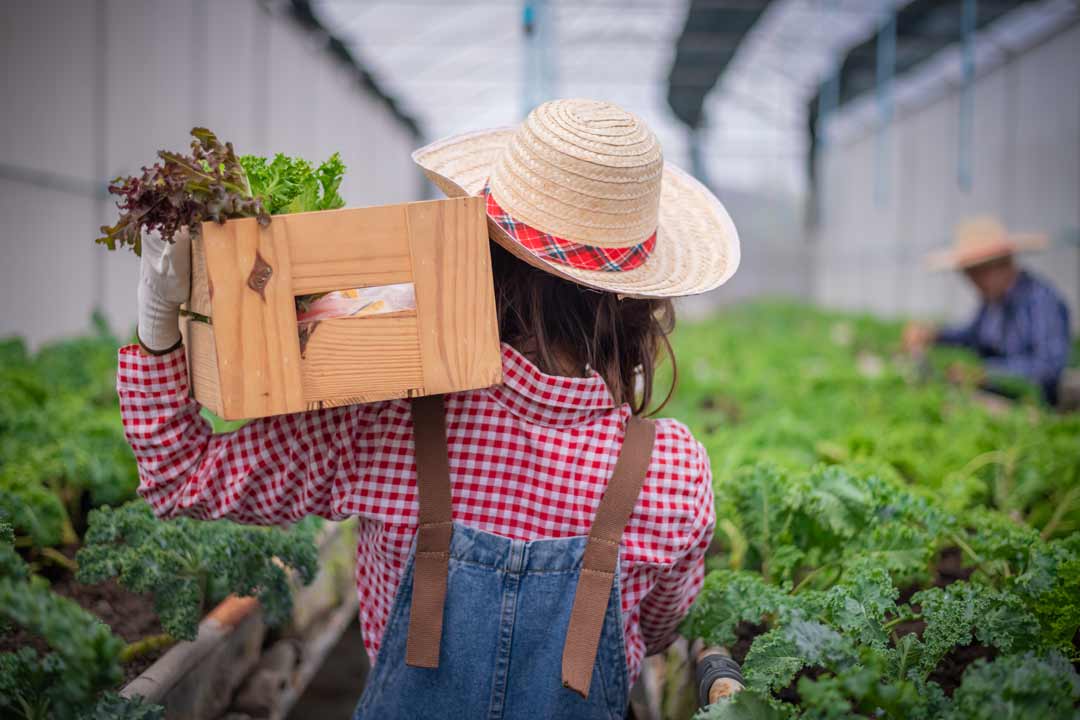 Featured image for “Stories of Women-owned Businesses”