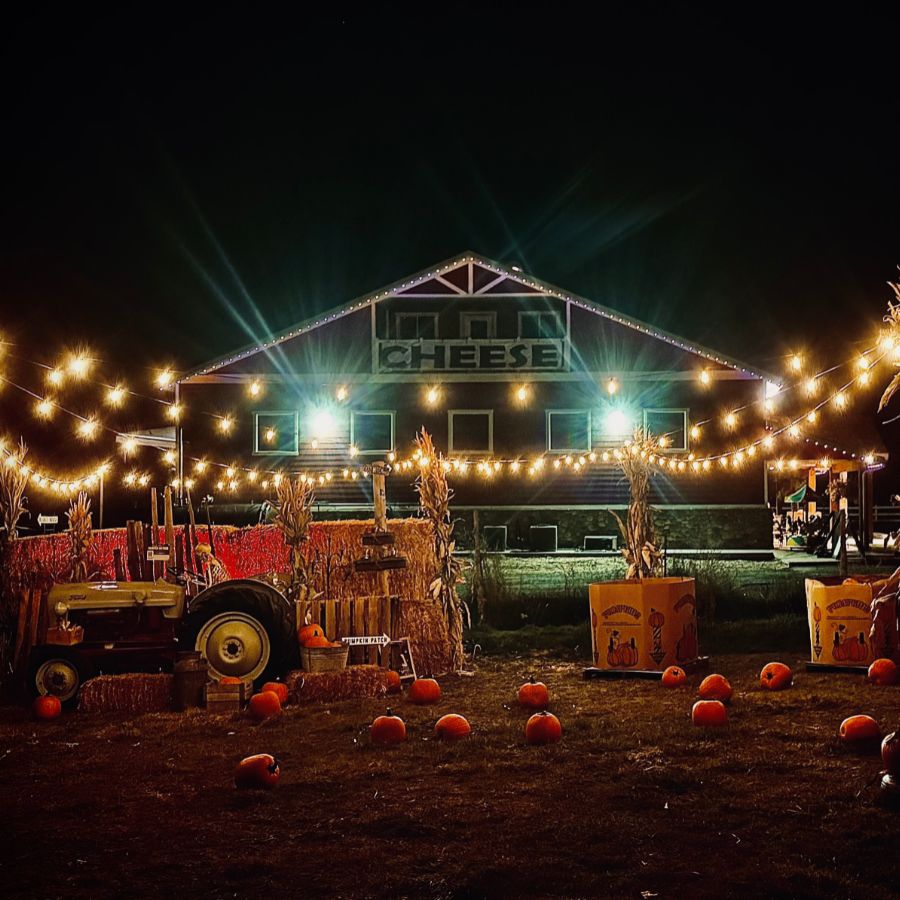 A illuminated barn at night with a sign reading "CHEESE," decorated with string lights, pumpkins, hay bales, and a vintage tractor.