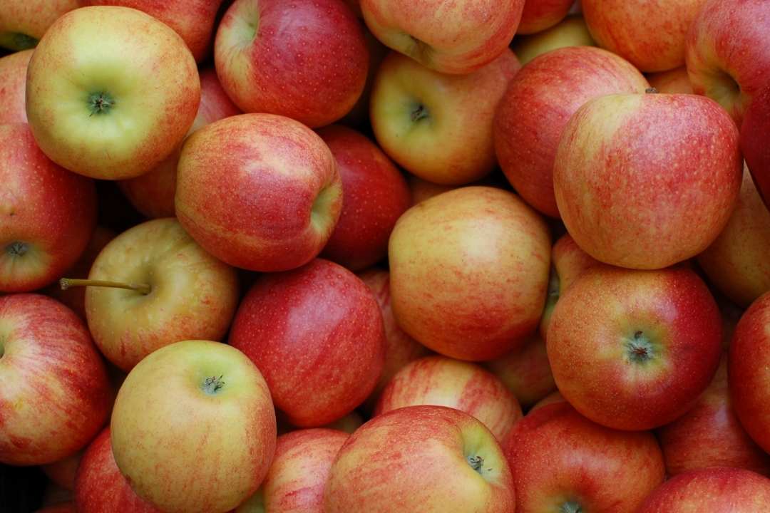 Featured image for “Utah Apples”